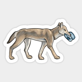 Coyote with Baseball Cap Sticker